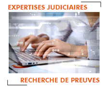 Vous avez un litige avec un salarié, votre informaticien ou celui qui a fait votre site Internet. Besoin d'une rapport d'expert pour préparer une action en justice ?