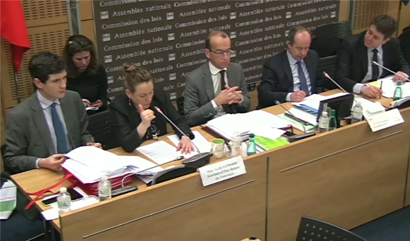 assemblée commission lois lemaire belot