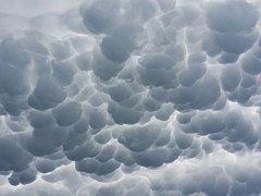 Nuages, Mammatus, Mammatus Cloud